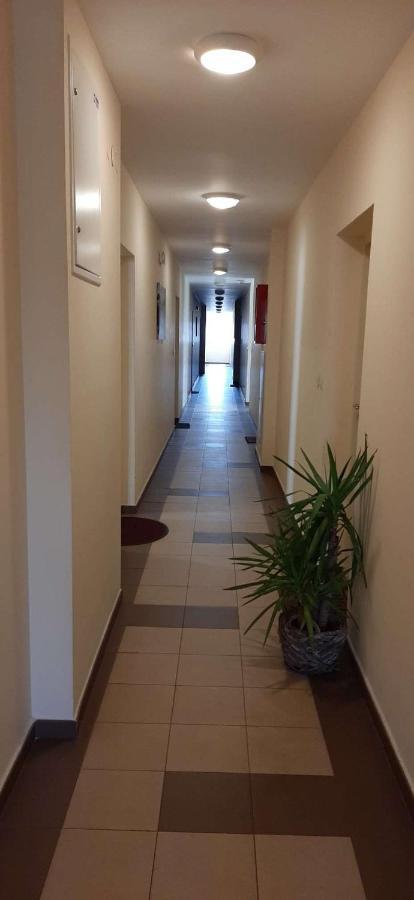 פודגוריצה Guest House Mikeli מראה חיצוני תמונה